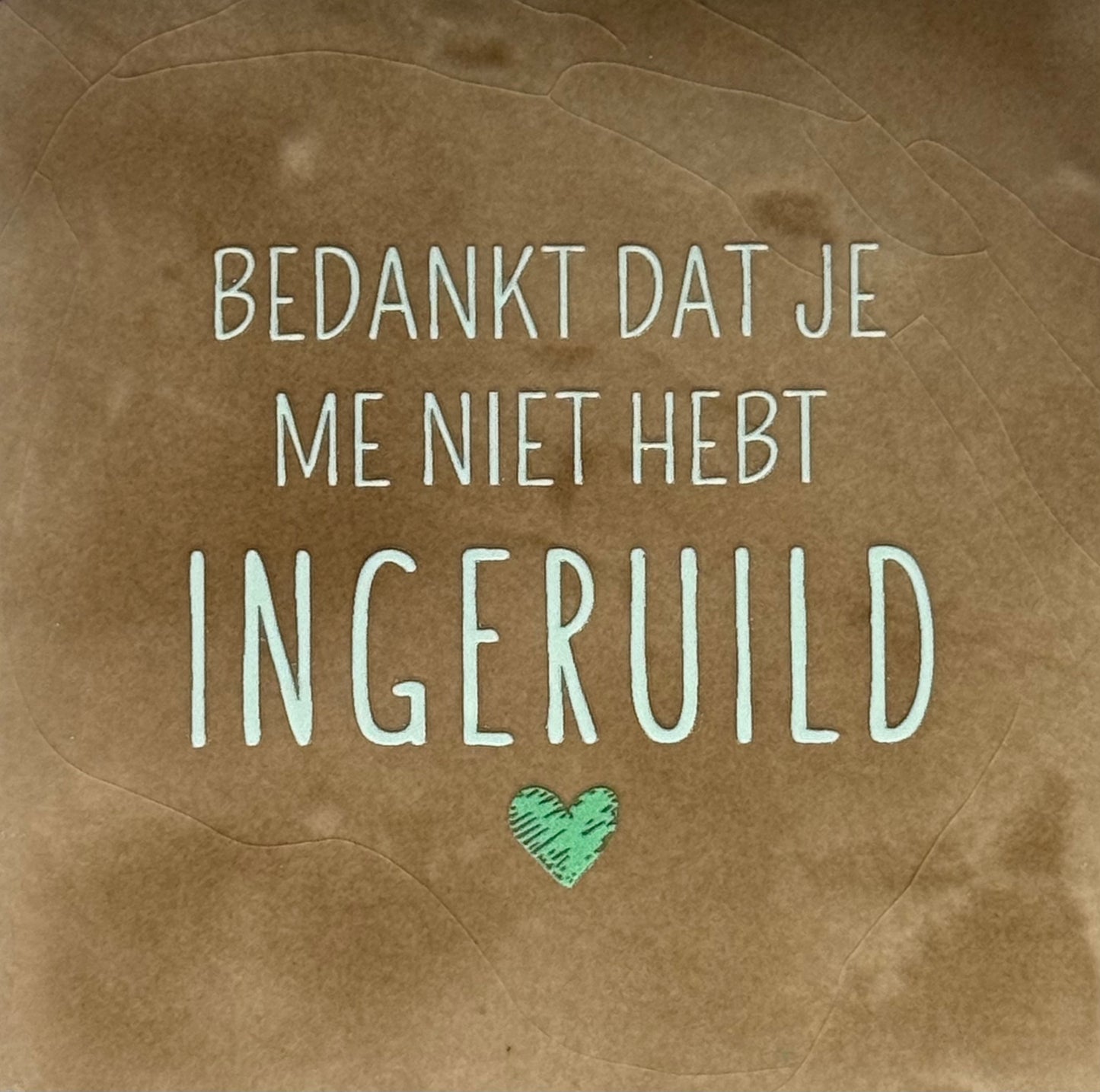 Quote tegeltje 'Bedankt dat je me niet hebt ingeruild' taupe/lichtgroen(mint)