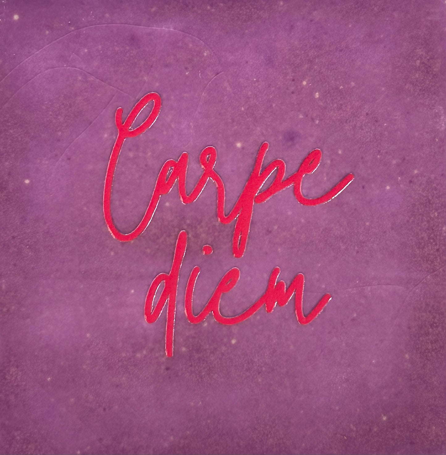 Quote tegeltje 'carpe diem' lila/fuchsia