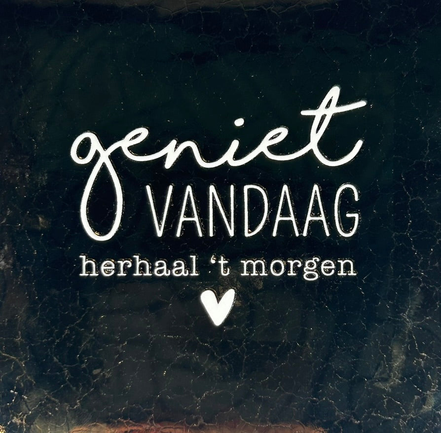 Quote tegeltje 'geniet vandaag' goud/creme