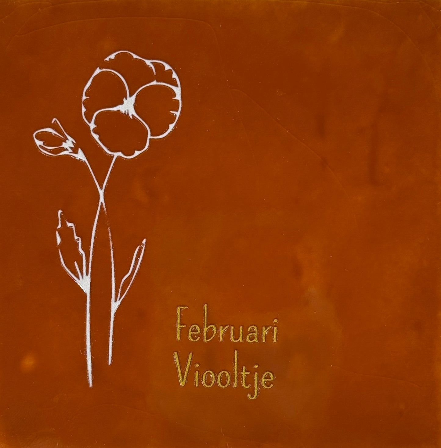 Quote tegeltje 'geboortetegel februari' terra/creme(goud)