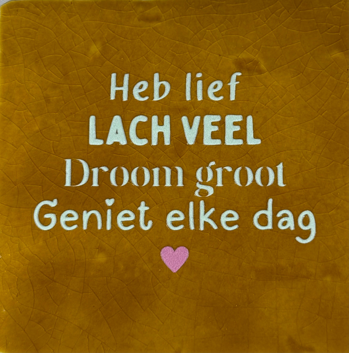 Quote tegeltje 'heb lief, lach veel, droom groot, geniet elke dag' oker/lichtgroen(warmroze)