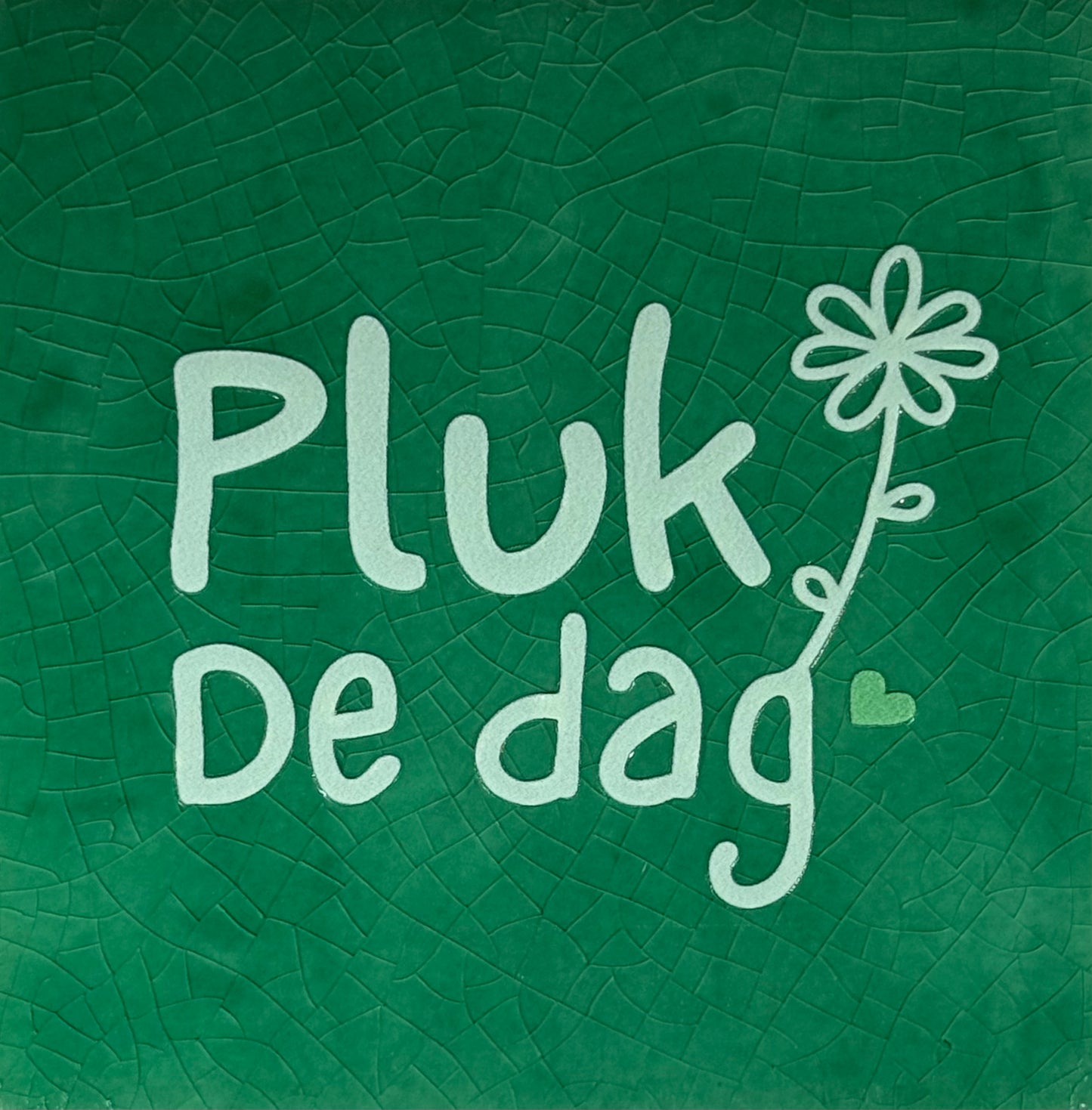 Quote tegeltje 'pluk de dag' hardgroen/lichtgroen(mint)