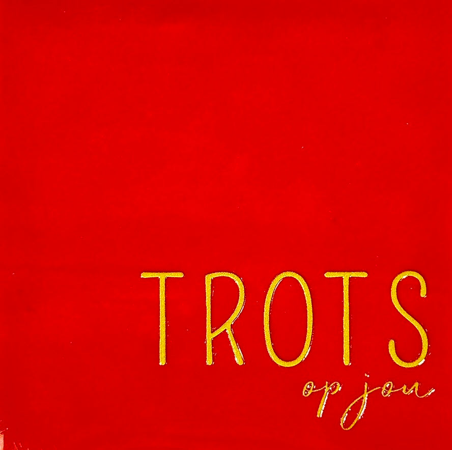 Quote tegeltje 'trots op jou' rood/goud