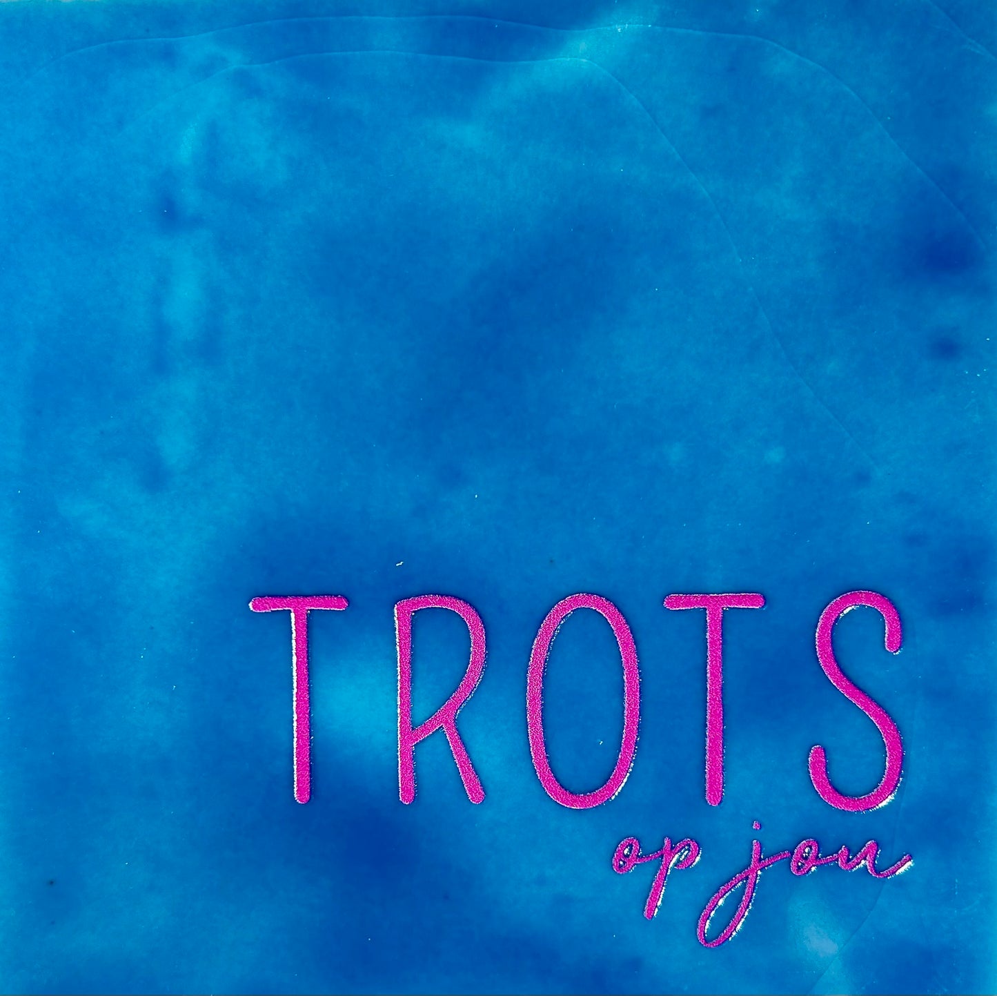 Quote tegeltje 'trots op jou' lichtblauw/roze