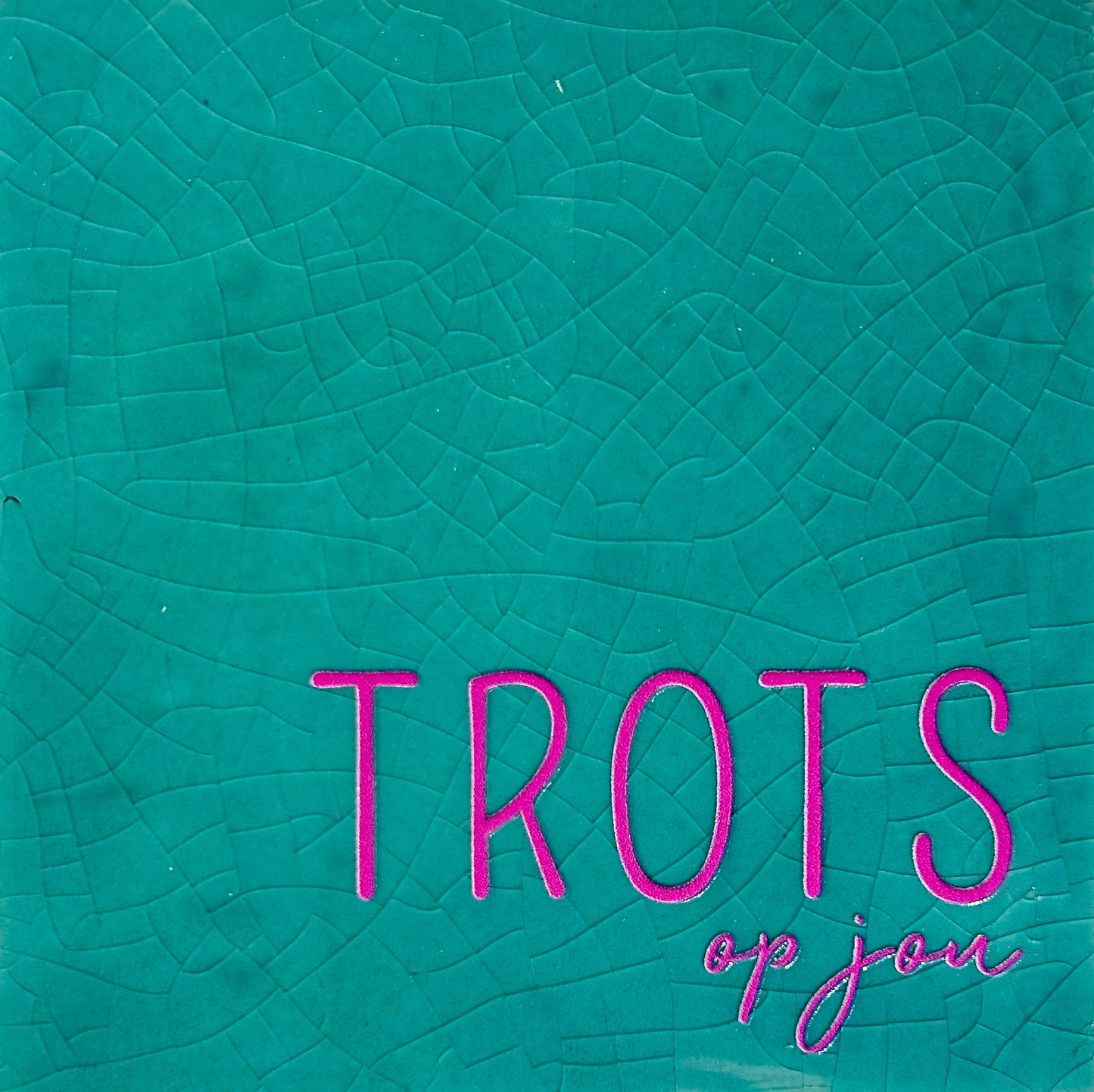 Quote tegeltje 'trots op jou' groen/roze