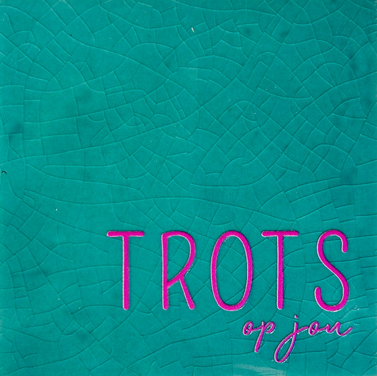 Quote tegeltje 'trots op jou' groen/roze