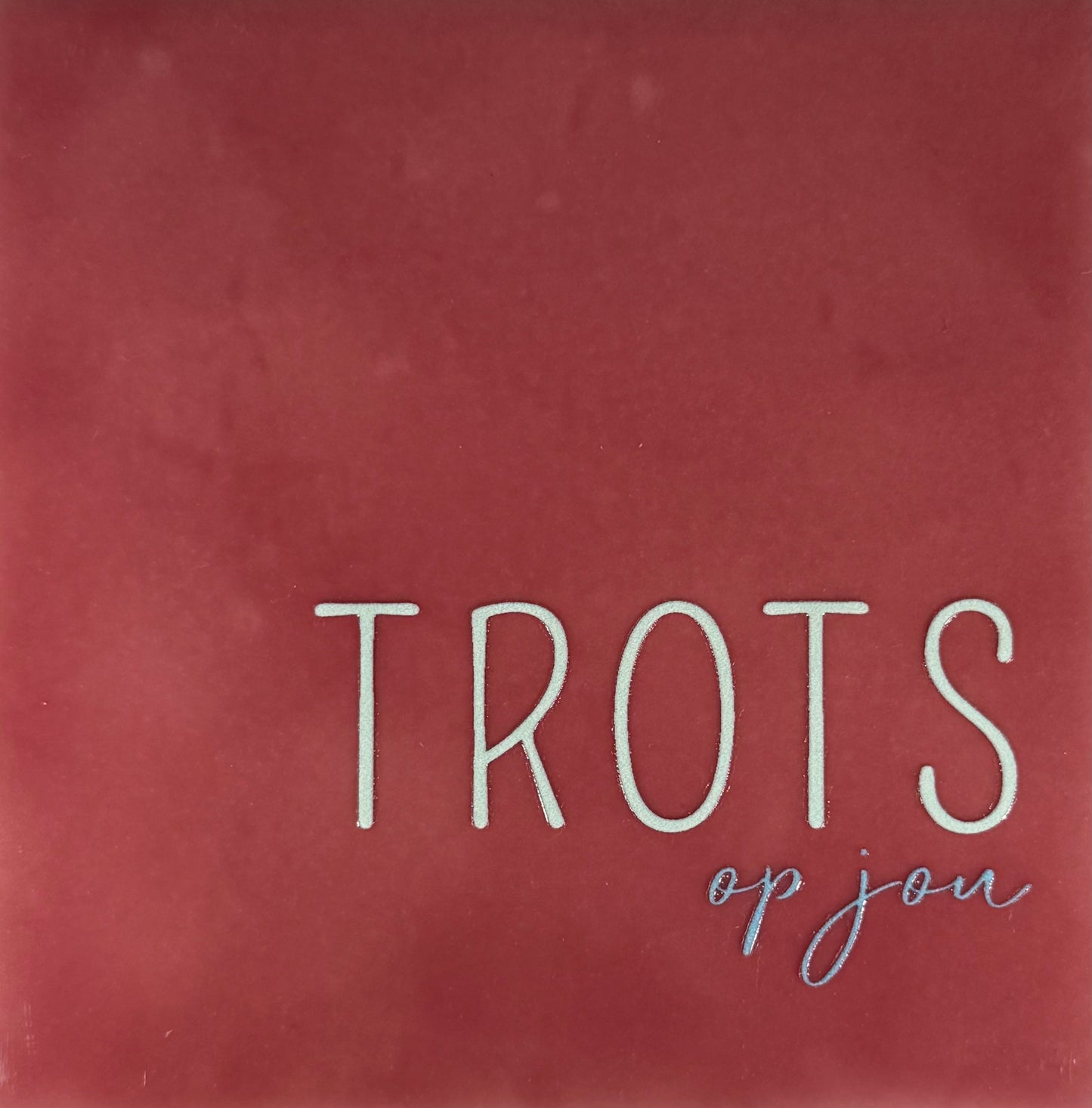 Quote tegeltje 'trots op jou' roze/lichtgroen (warmblauw)