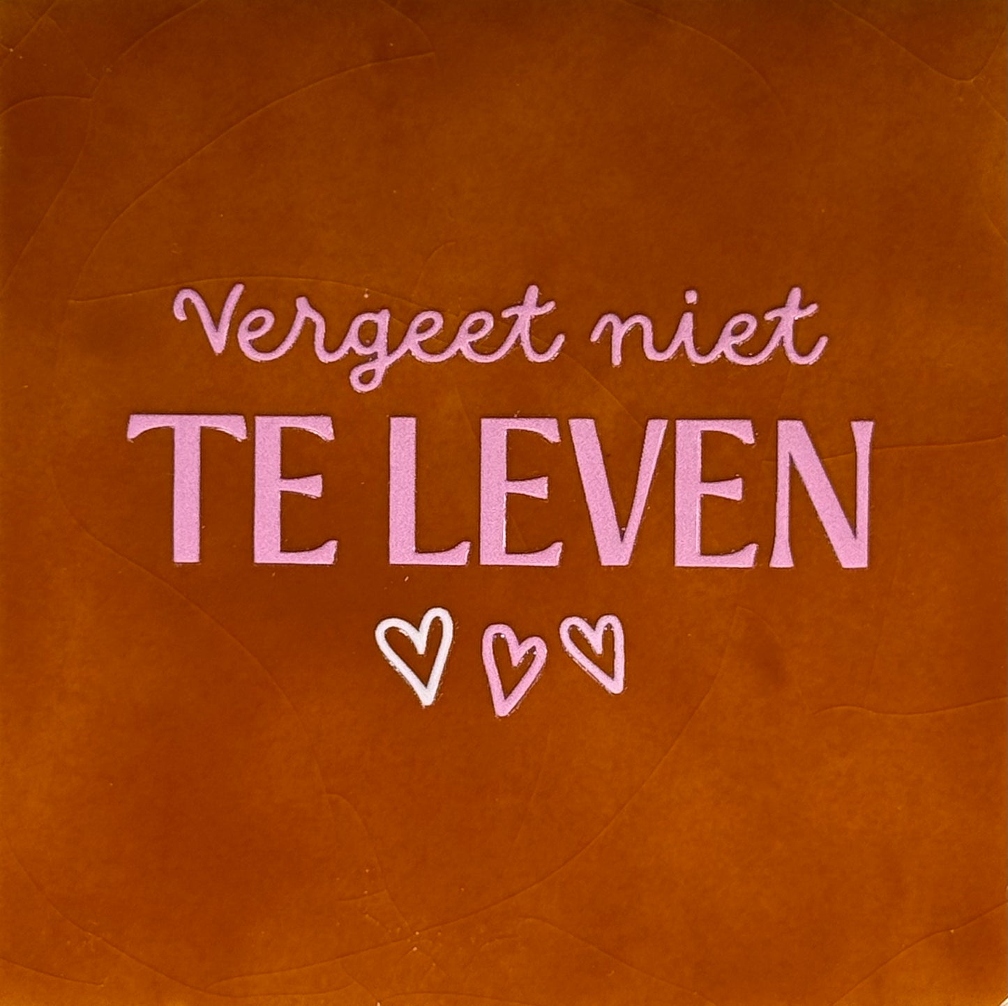 Quote tegeltje 'vergeet niet te leven' terra/warmroze(combi 2)