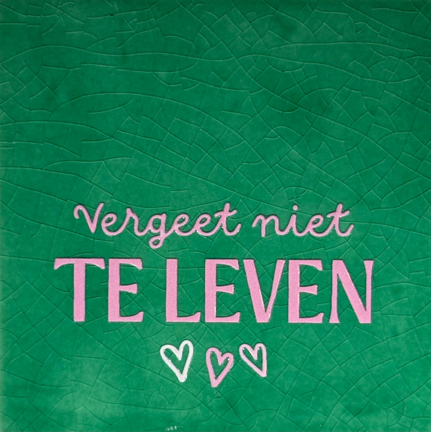 Quote tegeltje 'vergeet niet te leven' hardgroen/combi 2
