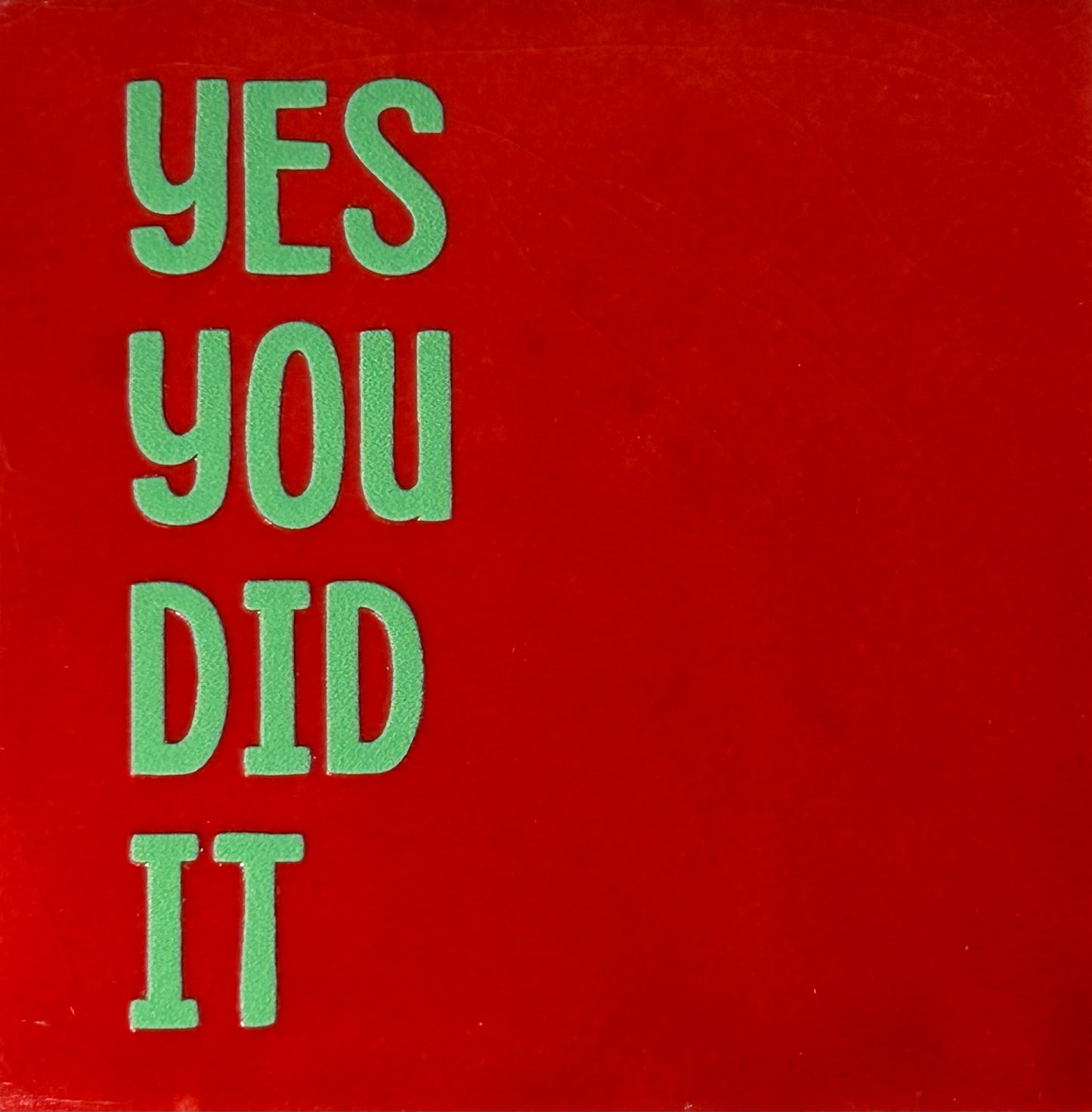 Quote tegeltje 'Yes you did it" rood/mint