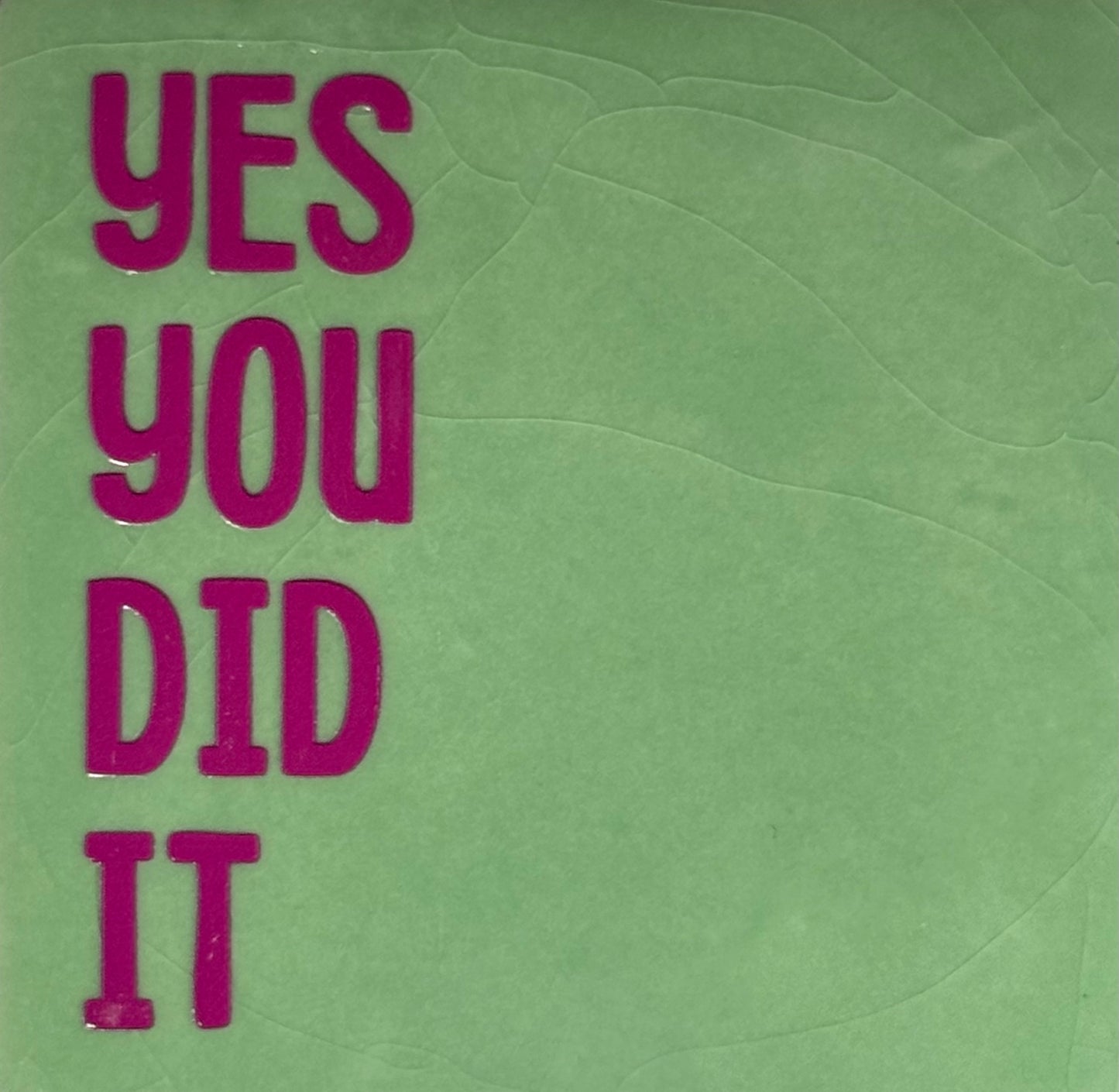 Quote tegeltje 'Yes you did it" mint/knalroze