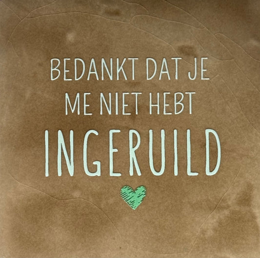 Quote tegeltje 'Bedankt dat je me niet hebt ingeruild' taupe/lichtgroen(mint)