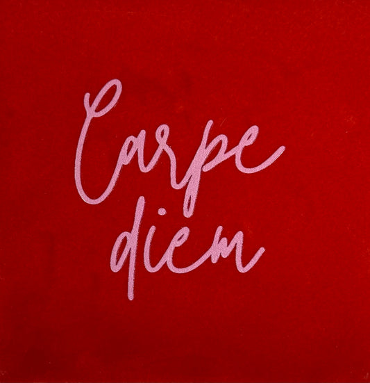 Quote tegeltje 'carpe diem' rood/warmroze