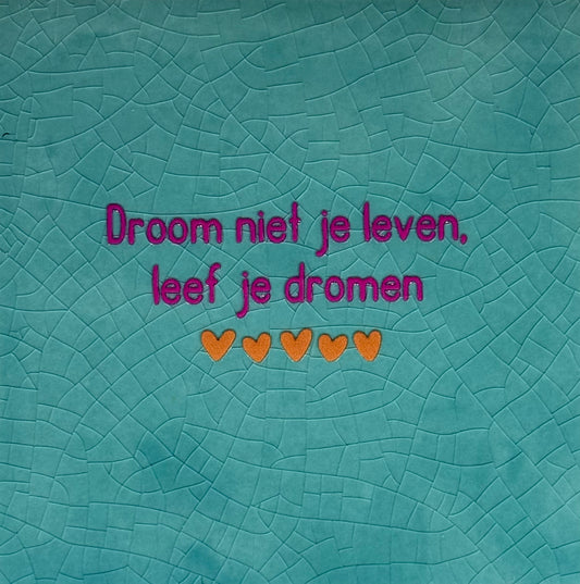 Quote tegeltje 'droom niet je leven, leef je dromen' groen/knalroze(oranje)