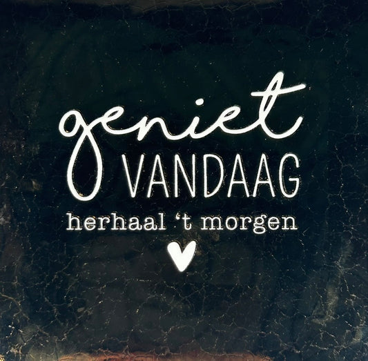 Quote tegeltje 'geniet vandaag' goud/creme
