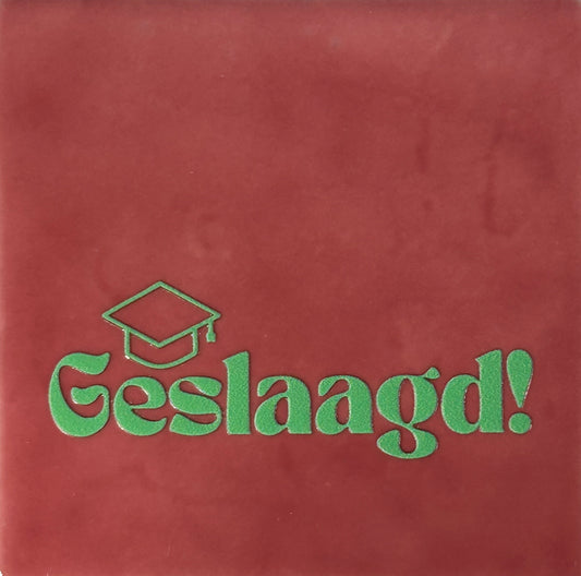 Quote tegeltje 'geslaagd' roze/mint
