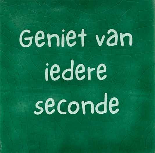 Quote tegeltje 'geniet van iedere seconde' hardgroen/lichtgroen