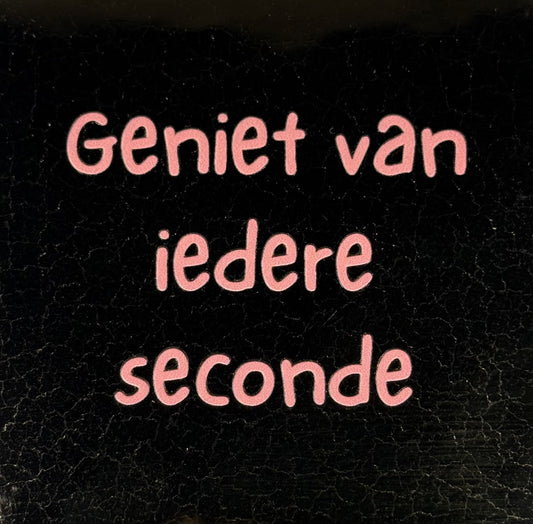 Quote tegeltje 'geniet van iedere seconde' goud/zalm