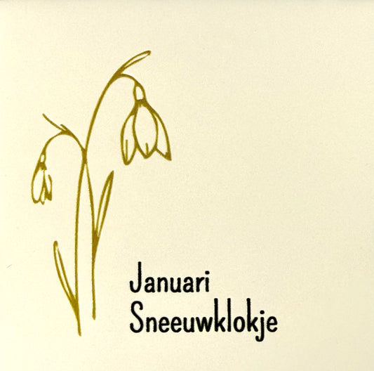 Quote tegeltje 'geboortetegel januari' creme/goud (zwart)