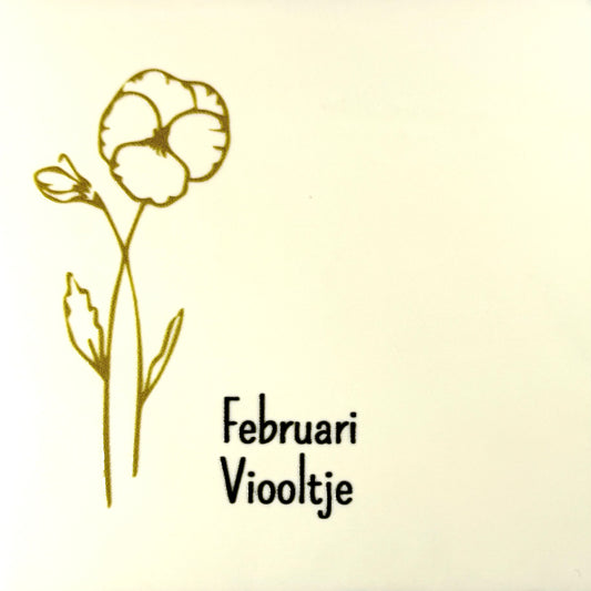 Quote tegeltje 'geboortetegel februari' creme/goud (zwart)