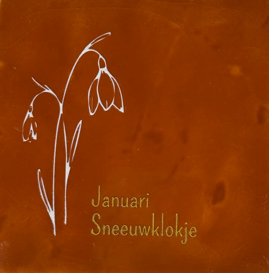 Quote tegeltje 'geboortetegel januari' terra/creme(goud)
