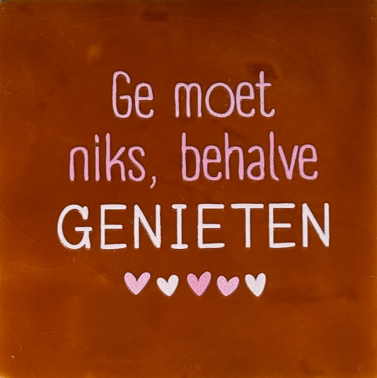 Quote tegeltje 'ge moet niks, behalve genieten' terra/combi 2