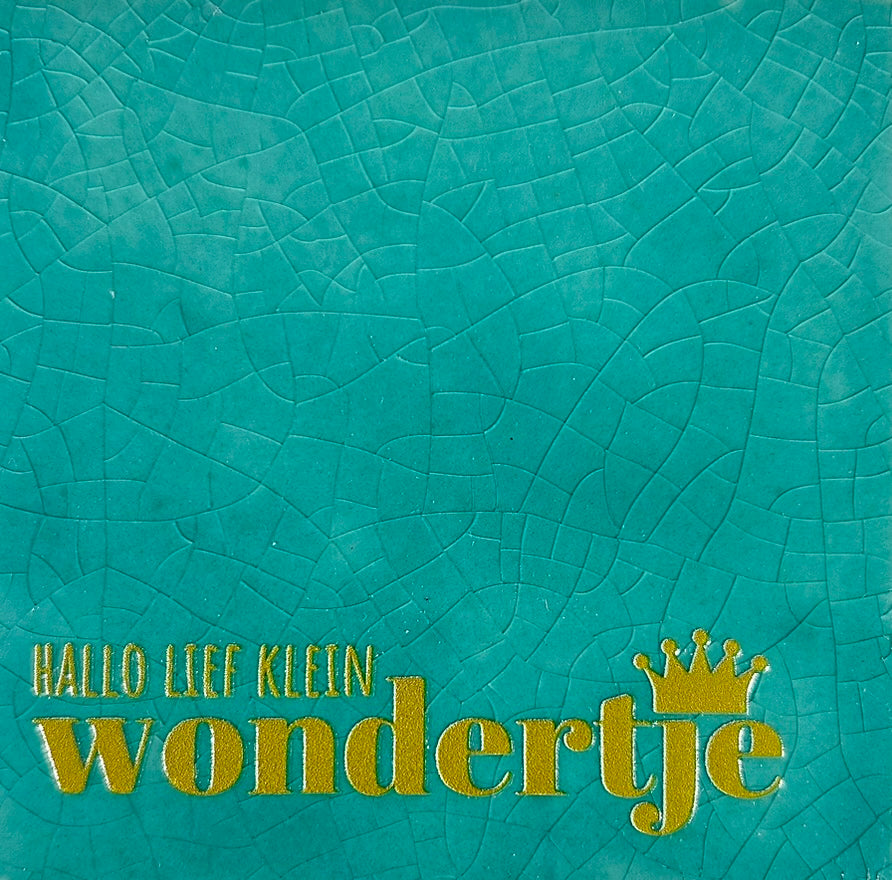 Quote tegeltje 'hallo lief klein wondertje' groen/goud