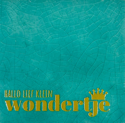 Quote tegeltje 'hallo lief klein wondertje' groen/goud