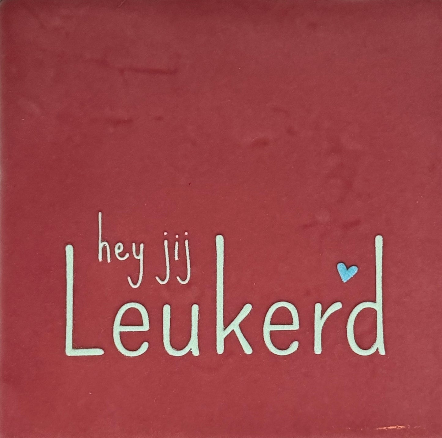 Quote tegeltje 'hey jij leukerd' roze/lichtgroen