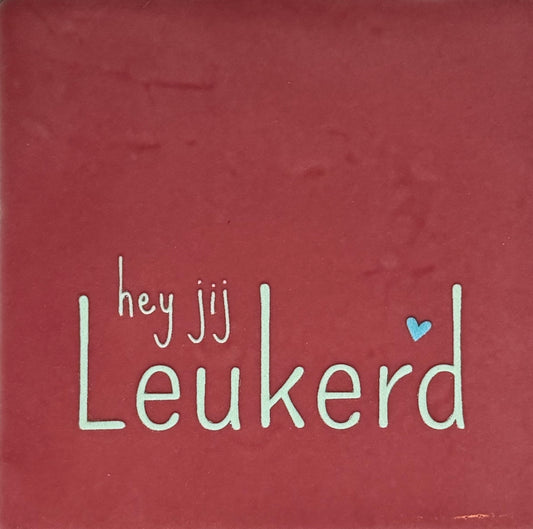 Quote tegeltje 'hey jij leukerd' roze/lichtgroen