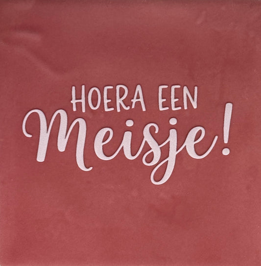 Quote tegeltje 'hoera een meisje' roze/babyroze