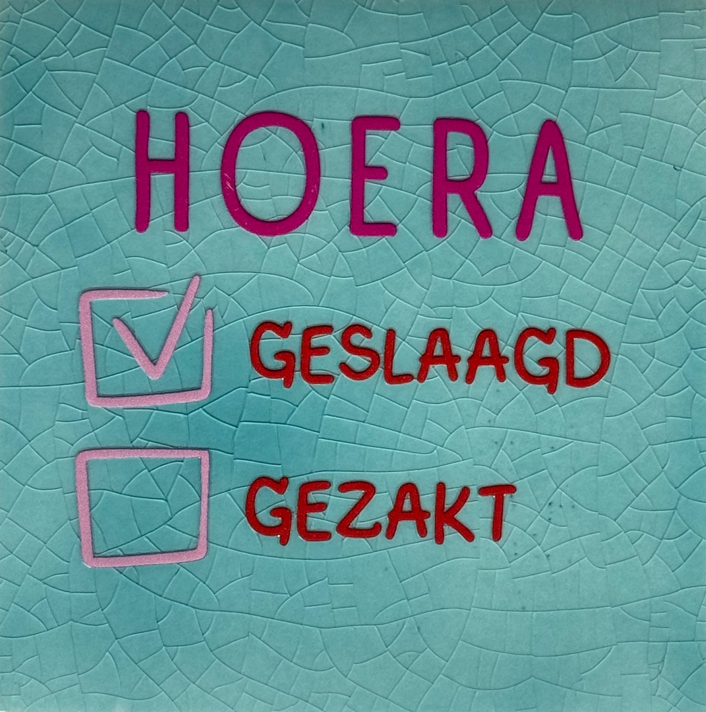 Quote tegeltje 'hoera geslaagd gezakt' turquoise/knalroze(rood-warmroze)