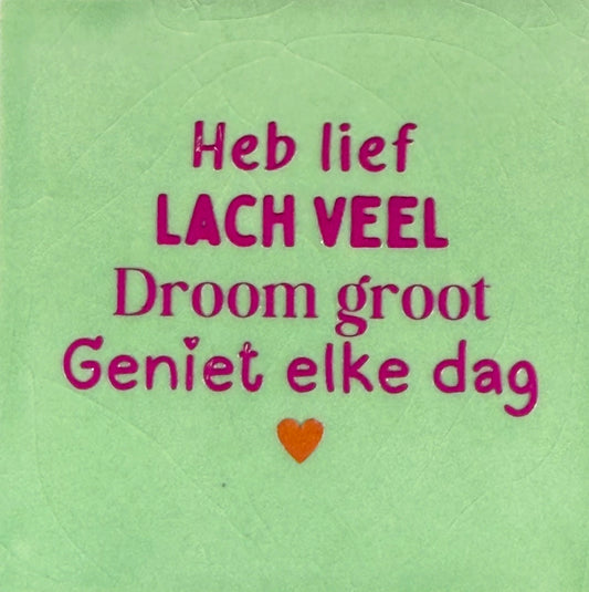 Quote tegeltje 'heb lief, lach veel, droom groot, geniet elke dag' mint/knalroze(oranje)