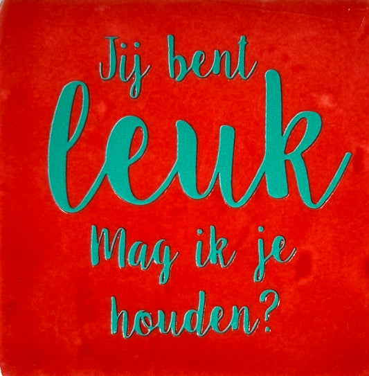 Quote tegeltje 'Jij bent leuk...houden' rood /aqua