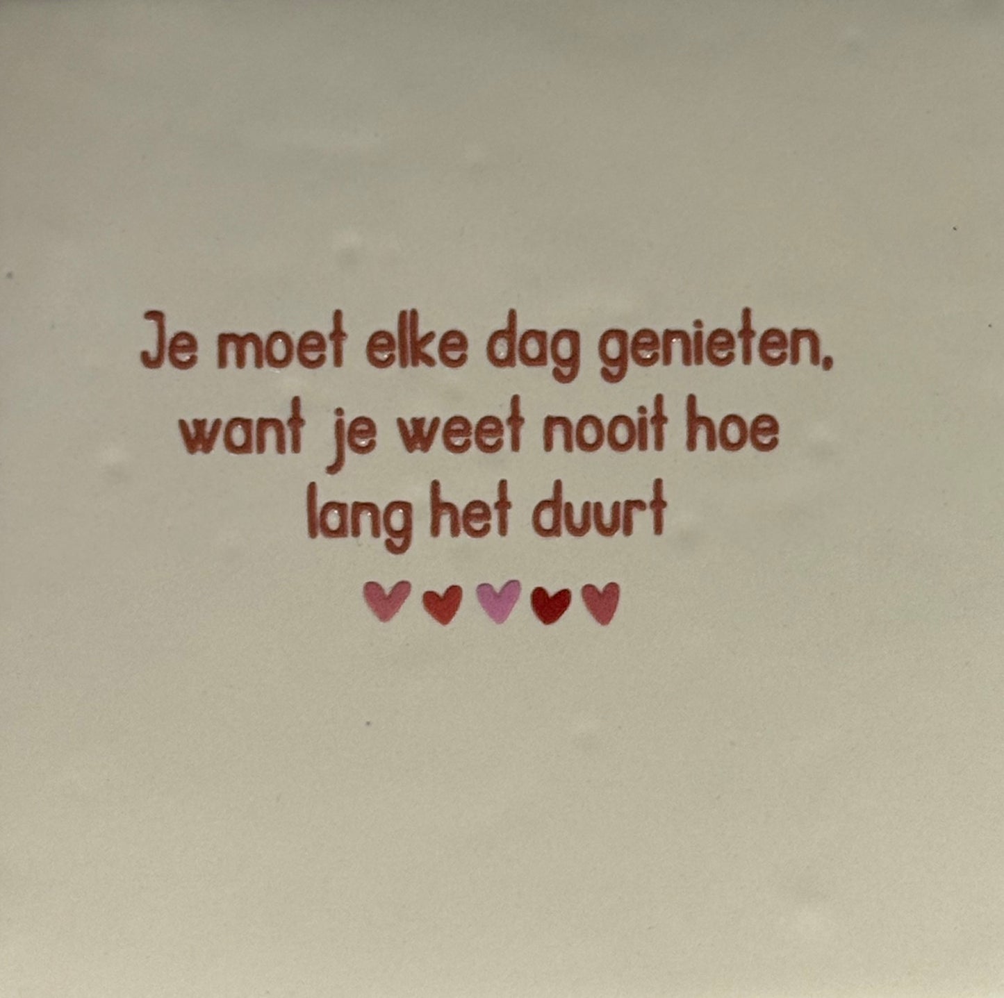 Quote tegeltje 'je moet elke dag genieten....' creme/taupe(combi 6)