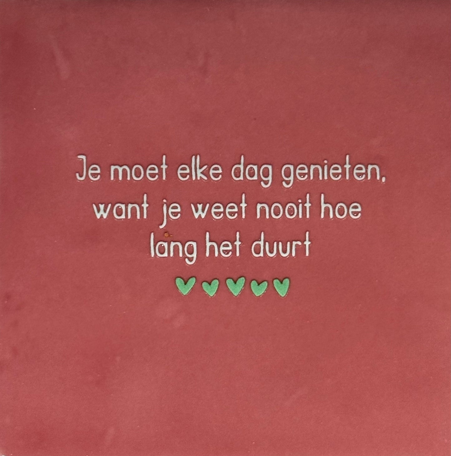 Quote tegeltje 'je moet elke dag genieten....' roze/lichtgroen (mint)