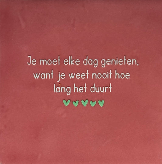 Quote tegeltje 'je moet elke dag genieten....' roze/lichtgroen (mint)