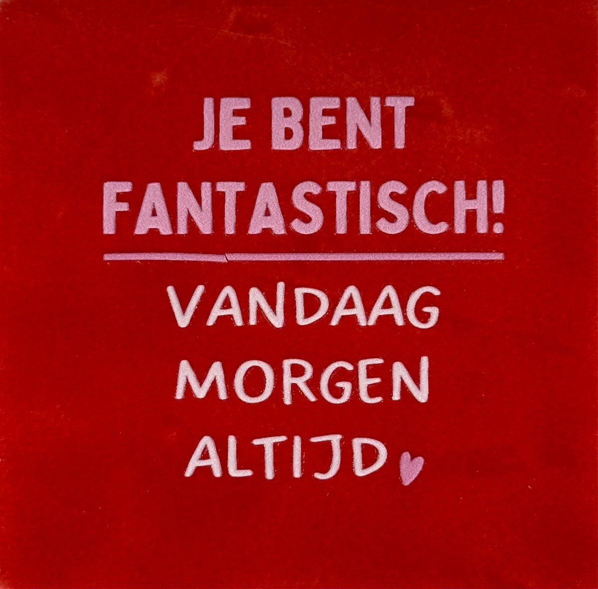 Quote tegeltje 'je bent fantastisch..' rood/combi 2