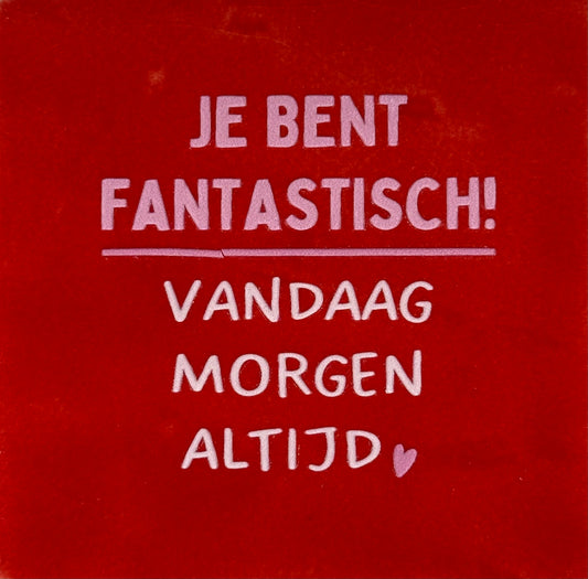 Quote tegeltje 'je bent fantastisch..' rood/combi 2