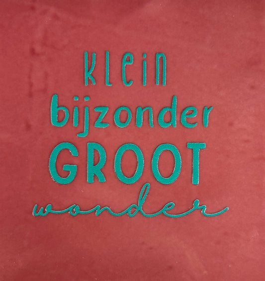 Quote tegeltje 'klein bijzonder groot wonder' roze/aqua