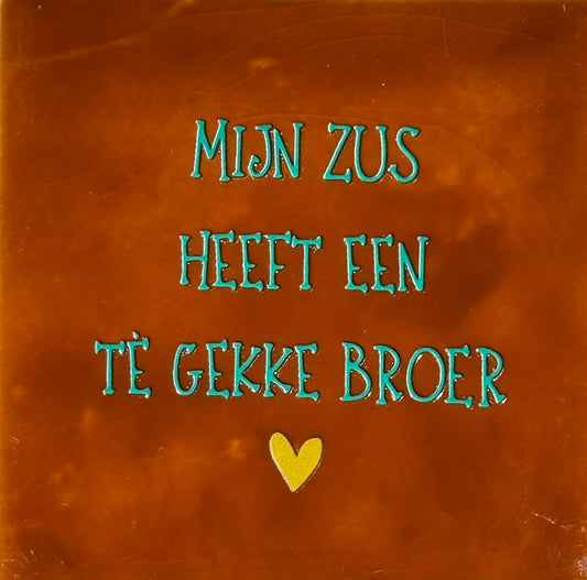 Quote tegeltje 'mijn zus .. gekke broer' terra/aqua