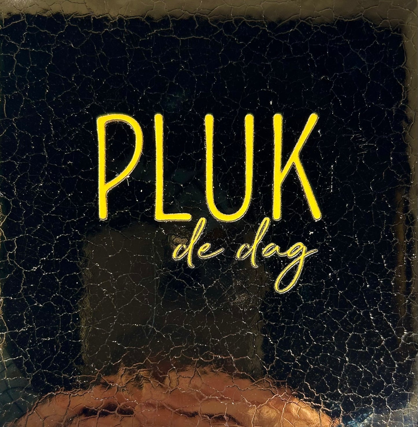Quote tegeltje 'pluk de dag' goud/geel