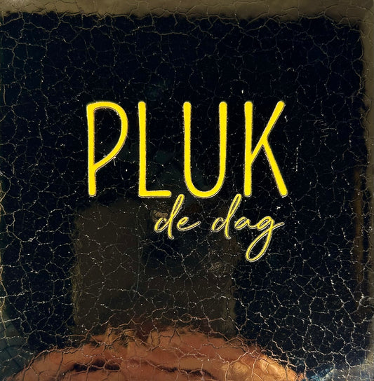 Quote tegeltje 'pluk de dag' goud/geel