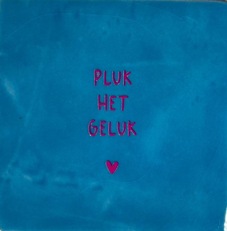 Quote tegeltje 'pluk het geluk' lichtblauw/roze
