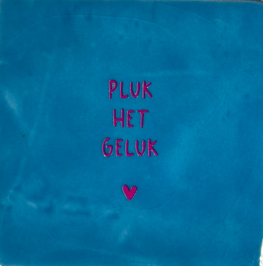 Quote tegeltje 'pluk het geluk' lichtblauw/roze