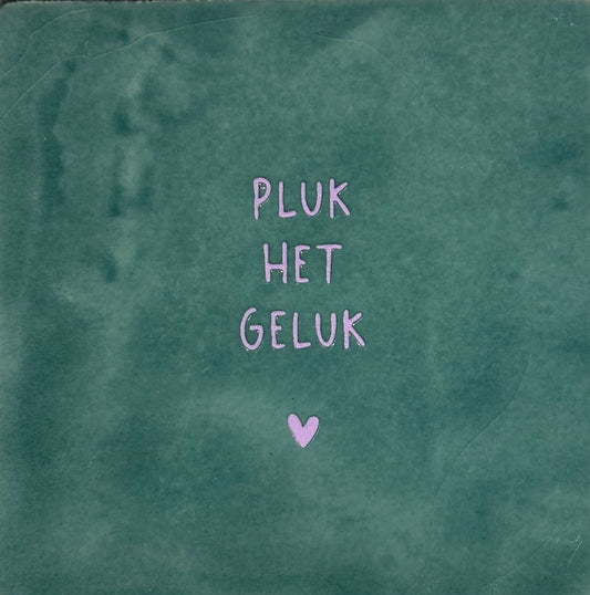 Quote tegeltje 'pluk het geluk' zeegroen/babyroze