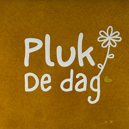Quote tegeltje 'pluk de dag' oker/creme(goud)