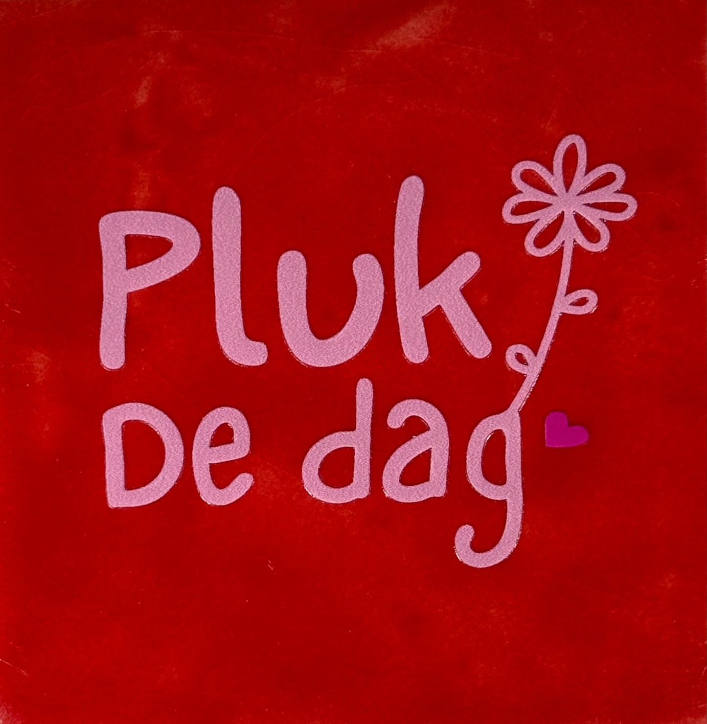 Quote tegeltje 'pluk de dag' rood/warmroze(knalroze)