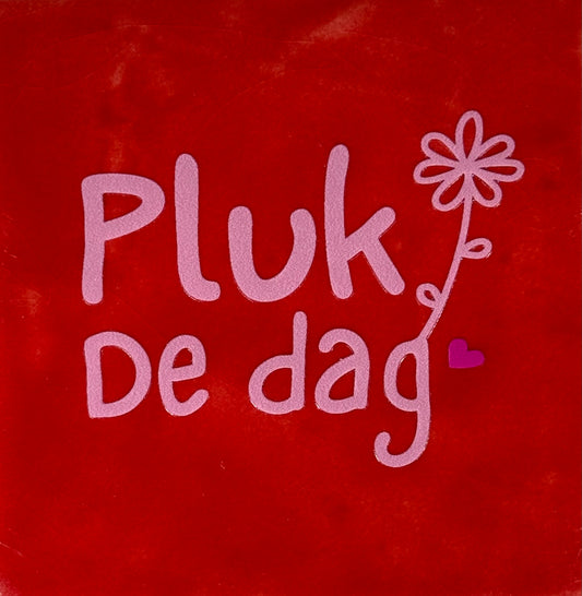 Quote tegeltje 'pluk de dag' rood/warmroze(knalroze)