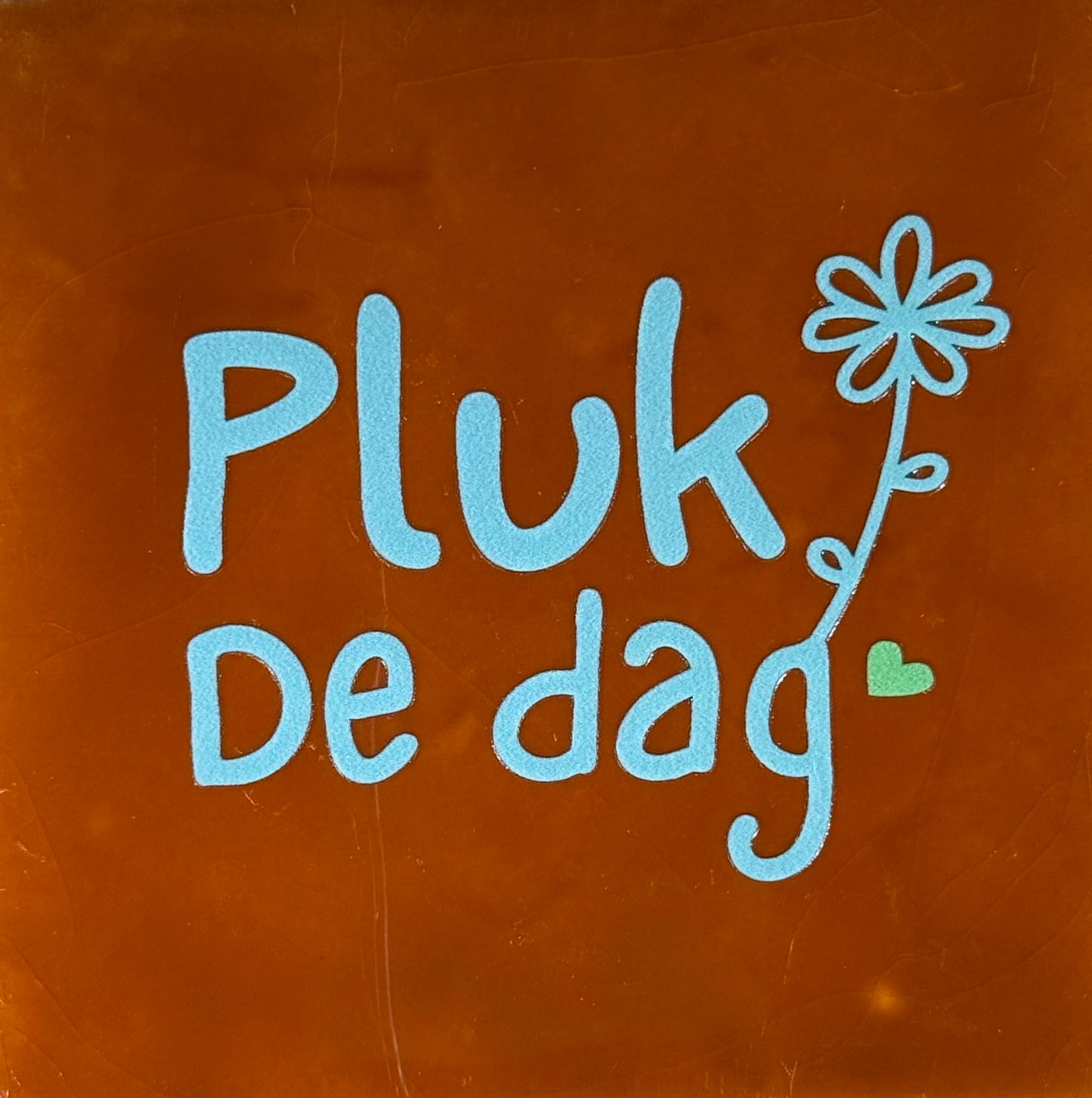 Quote tegeltje 'pluk de dag' terra/warmblauw(mint)